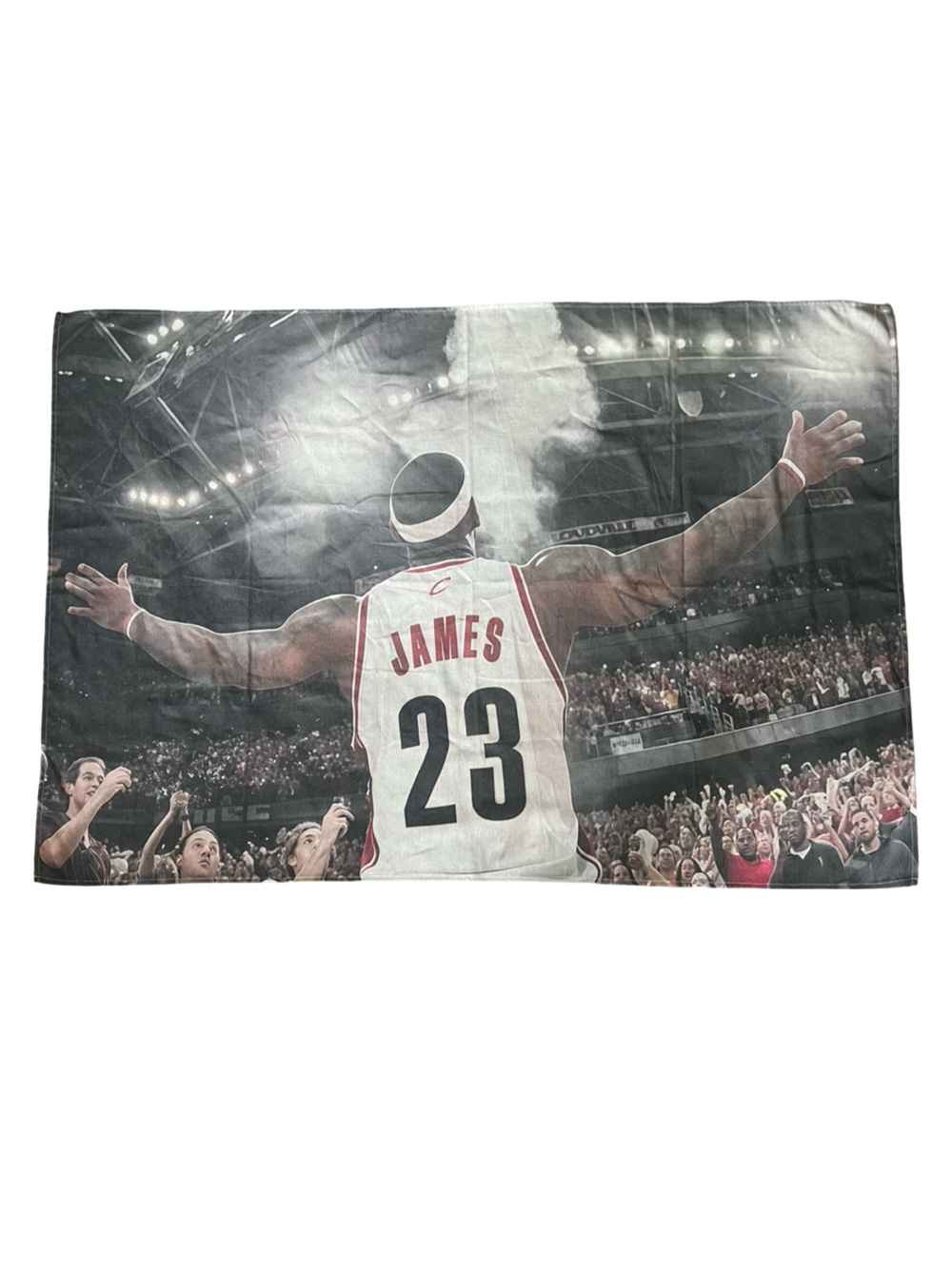 Huge LeBron James Canvas Wall Hanging 40” x 59”